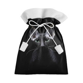 Подарочный 3D мешок с принтом Сфинкс 2 в Екатеринбурге, 100% полиэстер | Размер: 29*39 см | Тематика изображения на принте: кот | котенок | котик | котэ | кошка | сфинкс