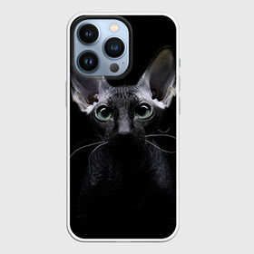 Чехол для iPhone 13 Pro с принтом Сфинкс 2 в Екатеринбурге,  |  | Тематика изображения на принте: кот | котенок | котик | котэ | кошка | сфинкс