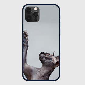 Чехол для iPhone 12 Pro Max с принтом Сфинкс 3 в Екатеринбурге, Силикон |  | Тематика изображения на принте: кот | котенок | котик | котэ | кошка | сфинкс
