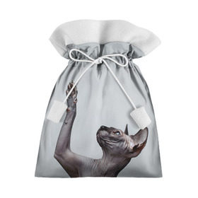 Подарочный 3D мешок с принтом Сфинкс 3 в Екатеринбурге, 100% полиэстер | Размер: 29*39 см | кот | котенок | котик | котэ | кошка | сфинкс