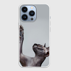 Чехол для iPhone 13 Pro с принтом Сфинкс 3 в Екатеринбурге,  |  | Тематика изображения на принте: кот | котенок | котик | котэ | кошка | сфинкс