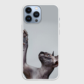 Чехол для iPhone 13 Pro Max с принтом Сфинкс 3 в Екатеринбурге,  |  | Тематика изображения на принте: кот | котенок | котик | котэ | кошка | сфинкс