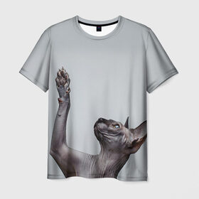 Мужская футболка 3D с принтом Сфинкс 3 в Екатеринбурге, 100% полиэфир | прямой крой, круглый вырез горловины, длина до линии бедер | кот | котенок | котик | котэ | кошка | сфинкс
