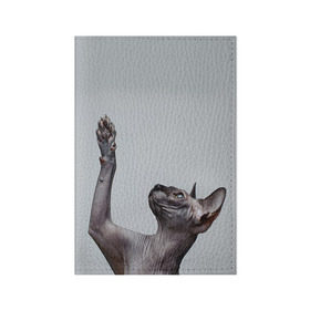 Обложка для паспорта матовая кожа с принтом Сфинкс 3 в Екатеринбурге, натуральная матовая кожа | размер 19,3 х 13,7 см; прозрачные пластиковые крепления | Тематика изображения на принте: кот | котенок | котик | котэ | кошка | сфинкс