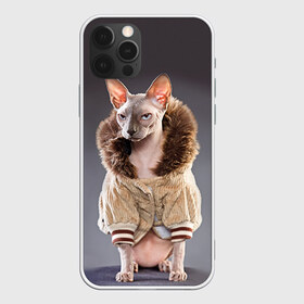 Чехол для iPhone 12 Pro Max с принтом Сфинкс 4 в Екатеринбурге, Силикон |  | Тематика изображения на принте: кот | котенок | котик | котэ | кошка | сфинкс
