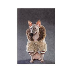 Обложка для паспорта матовая кожа с принтом Сфинкс 4 в Екатеринбурге, натуральная матовая кожа | размер 19,3 х 13,7 см; прозрачные пластиковые крепления | Тематика изображения на принте: кот | котенок | котик | котэ | кошка | сфинкс
