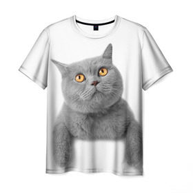 Мужская футболка 3D с принтом Британец 2 в Екатеринбурге, 100% полиэфир | прямой крой, круглый вырез горловины, длина до линии бедер | британец | британская | британцы | кот | котенок | котик | котэ | кошка