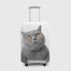 Чехол для чемодана 3D с принтом Британец 2 в Екатеринбурге, 86% полиэфир, 14% спандекс | двустороннее нанесение принта, прорези для ручек и колес | британец | британская | британцы | кот | котенок | котик | котэ | кошка