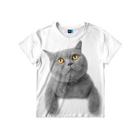 Детская футболка 3D с принтом Британец 2 в Екатеринбурге, 100% гипоаллергенный полиэфир | прямой крой, круглый вырез горловины, длина до линии бедер, чуть спущенное плечо, ткань немного тянется | британец | британская | британцы | кот | котенок | котик | котэ | кошка