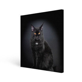 Холст квадратный с принтом Мейн-кун 3 в Екатеринбурге, 100% ПВХ |  | Тематика изображения на принте: кот | котенок | котик | котэ | кошка | мейн кун | мейнкун | мэйн кун | мэйнкун