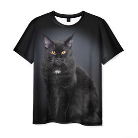 Мужская футболка 3D с принтом Мейн-кун 3 в Екатеринбурге, 100% полиэфир | прямой крой, круглый вырез горловины, длина до линии бедер | Тематика изображения на принте: кот | котенок | котик | котэ | кошка | мейн кун | мейнкун | мэйн кун | мэйнкун