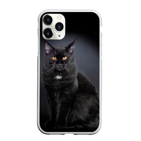 Чехол для iPhone 11 Pro матовый с принтом Мейн-кун 3 в Екатеринбурге, Силикон |  | кот | котенок | котик | котэ | кошка | мейн кун | мейнкун | мэйн кун | мэйнкун