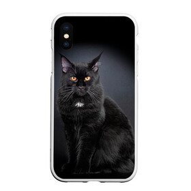 Чехол для iPhone XS Max матовый с принтом Мейн-кун 3 в Екатеринбурге, Силикон | Область печати: задняя сторона чехла, без боковых панелей | кот | котенок | котик | котэ | кошка | мейн кун | мейнкун | мэйн кун | мэйнкун