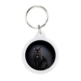 Брелок круглый с принтом Мейн-кун 3 в Екатеринбурге, пластик и полированная сталь | круглая форма, металлическое крепление в виде кольца | кот | котенок | котик | котэ | кошка | мейн кун | мейнкун | мэйн кун | мэйнкун