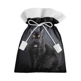 Подарочный 3D мешок с принтом Мейн-кун 3 в Екатеринбурге, 100% полиэстер | Размер: 29*39 см | кот | котенок | котик | котэ | кошка | мейн кун | мейнкун | мэйн кун | мэйнкун