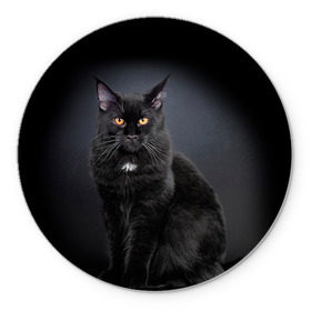 Коврик круглый с принтом Мейн-кун 3 в Екатеринбурге, резина и полиэстер | круглая форма, изображение наносится на всю лицевую часть | кот | котенок | котик | котэ | кошка | мейн кун | мейнкун | мэйн кун | мэйнкун