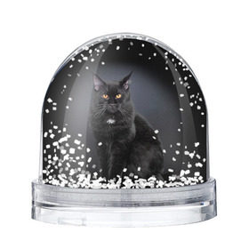 Снежный шар с принтом Мейн-кун 3 в Екатеринбурге, Пластик | Изображение внутри шара печатается на глянцевой фотобумаге с двух сторон | кот | котенок | котик | котэ | кошка | мейн кун | мейнкун | мэйн кун | мэйнкун