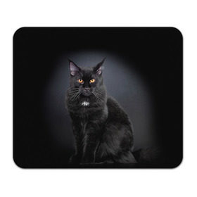 Коврик прямоугольный с принтом Мейн-кун 3 в Екатеринбурге, натуральный каучук | размер 230 х 185 мм; запечатка лицевой стороны | кот | котенок | котик | котэ | кошка | мейн кун | мейнкун | мэйн кун | мэйнкун