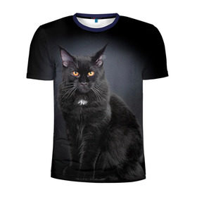 Мужская футболка 3D спортивная с принтом Мейн-кун 3 в Екатеринбурге, 100% полиэстер с улучшенными характеристиками | приталенный силуэт, круглая горловина, широкие плечи, сужается к линии бедра | Тематика изображения на принте: кот | котенок | котик | котэ | кошка | мейн кун | мейнкун | мэйн кун | мэйнкун