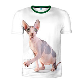 Мужская футболка 3D спортивная с принтом Сфинкс 5 в Екатеринбурге, 100% полиэстер с улучшенными характеристиками | приталенный силуэт, круглая горловина, широкие плечи, сужается к линии бедра | Тематика изображения на принте: кот | котенок | котик | котэ | кошка | сфинкс