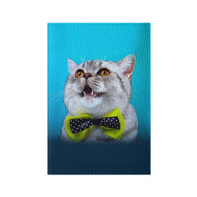 Обложка для паспорта матовая кожа с принтом Британец 3 в Екатеринбурге, натуральная матовая кожа | размер 19,3 х 13,7 см; прозрачные пластиковые крепления | британец | британская | британцы | кот | котенок | котик | котэ | кошка