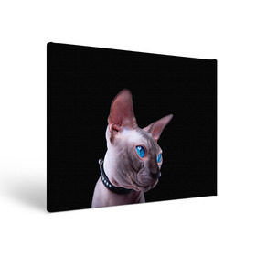 Холст прямоугольный с принтом Сфинкс 6 в Екатеринбурге, 100% ПВХ |  | Тематика изображения на принте: кот | котенок | котик | котэ | кошка | сфинкс