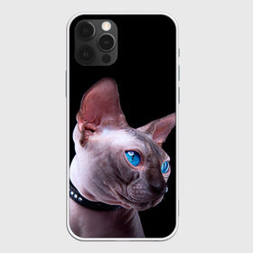 Чехол для iPhone 12 Pro Max с принтом Сфинкс 6 в Екатеринбурге, Силикон |  | Тематика изображения на принте: кот | котенок | котик | котэ | кошка | сфинкс