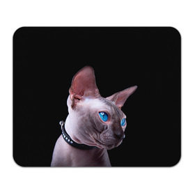Коврик прямоугольный с принтом Сфинкс 6 в Екатеринбурге, натуральный каучук | размер 230 х 185 мм; запечатка лицевой стороны | Тематика изображения на принте: кот | котенок | котик | котэ | кошка | сфинкс