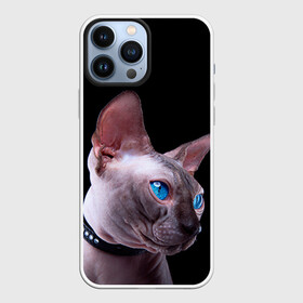 Чехол для iPhone 13 Pro Max с принтом Сфинкс 6 в Екатеринбурге,  |  | Тематика изображения на принте: кот | котенок | котик | котэ | кошка | сфинкс