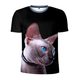 Мужская футболка 3D спортивная с принтом Сфинкс 6 в Екатеринбурге, 100% полиэстер с улучшенными характеристиками | приталенный силуэт, круглая горловина, широкие плечи, сужается к линии бедра | Тематика изображения на принте: кот | котенок | котик | котэ | кошка | сфинкс