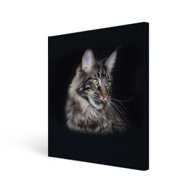 Холст квадратный с принтом Мейн-кун 5 в Екатеринбурге, 100% ПВХ |  | Тематика изображения на принте: кот | котенок | котик | котэ | кошка | мейн кун | мейнкун | мэйн кун | мэйнкун