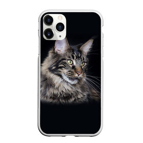 Чехол для iPhone 11 Pro матовый с принтом Мейн-кун 5 в Екатеринбурге, Силикон |  | кот | котенок | котик | котэ | кошка | мейн кун | мейнкун | мэйн кун | мэйнкун