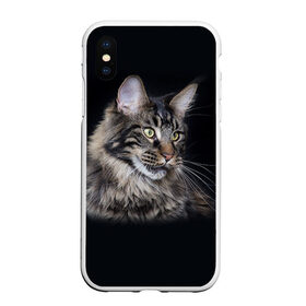 Чехол для iPhone XS Max матовый с принтом Мейн-кун 5 в Екатеринбурге, Силикон | Область печати: задняя сторона чехла, без боковых панелей | кот | котенок | котик | котэ | кошка | мейн кун | мейнкун | мэйн кун | мэйнкун