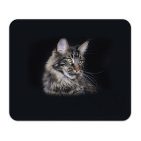 Коврик прямоугольный с принтом Мейн-кун 5 в Екатеринбурге, натуральный каучук | размер 230 х 185 мм; запечатка лицевой стороны | Тематика изображения на принте: кот | котенок | котик | котэ | кошка | мейн кун | мейнкун | мэйн кун | мэйнкун