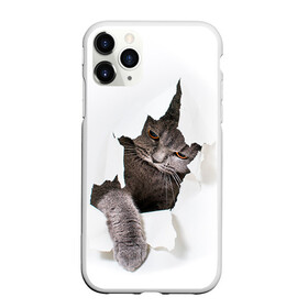 Чехол для iPhone 11 Pro матовый с принтом Британец 4 в Екатеринбурге, Силикон |  | британец | британская | британцы | кот | котенок | котик | котэ | кошка