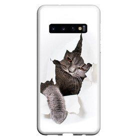 Чехол для Samsung Galaxy S10 с принтом Британец 4 в Екатеринбурге, Силикон | Область печати: задняя сторона чехла, без боковых панелей | Тематика изображения на принте: британец | британская | британцы | кот | котенок | котик | котэ | кошка