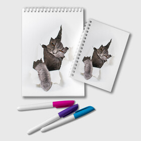 Блокнот с принтом Британец 4 в Екатеринбурге, 100% бумага | 48 листов, плотность листов — 60 г/м2, плотность картонной обложки — 250 г/м2. Листы скреплены удобной пружинной спиралью. Цвет линий — светло-серый
 | Тематика изображения на принте: британец | британская | британцы | кот | котенок | котик | котэ | кошка