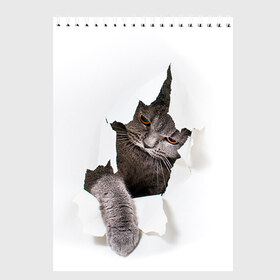 Скетчбук с принтом Британец 4 в Екатеринбурге, 100% бумага
 | 48 листов, плотность листов — 100 г/м2, плотность картонной обложки — 250 г/м2. Листы скреплены сверху удобной пружинной спиралью | Тематика изображения на принте: британец | британская | британцы | кот | котенок | котик | котэ | кошка