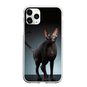 Чехол для iPhone 11 Pro матовый с принтом Сфинкс 7 в Екатеринбурге, Силикон |  | кот | котенок | котик | котэ | кошка | сфинкс