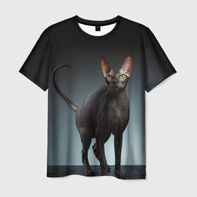 Мужская футболка 3D с принтом Сфинкс 7 в Екатеринбурге, 100% полиэфир | прямой крой, круглый вырез горловины, длина до линии бедер | Тематика изображения на принте: кот | котенок | котик | котэ | кошка | сфинкс