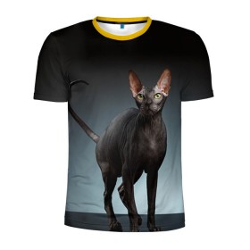 Мужская футболка 3D спортивная с принтом Сфинкс 7 в Екатеринбурге, 100% полиэстер с улучшенными характеристиками | приталенный силуэт, круглая горловина, широкие плечи, сужается к линии бедра | Тематика изображения на принте: кот | котенок | котик | котэ | кошка | сфинкс