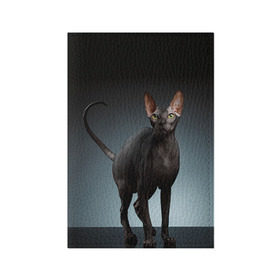 Обложка для паспорта матовая кожа с принтом Сфинкс 7 в Екатеринбурге, натуральная матовая кожа | размер 19,3 х 13,7 см; прозрачные пластиковые крепления | Тематика изображения на принте: кот | котенок | котик | котэ | кошка | сфинкс