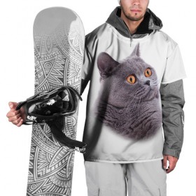 Накидка на куртку 3D с принтом Британец 5 в Екатеринбурге, 100% полиэстер |  | Тематика изображения на принте: британец | британская | британцы | кот | котенок | котик | котэ | кошка