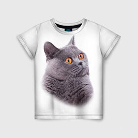 Детская футболка 3D с принтом Британец 5 в Екатеринбурге, 100% гипоаллергенный полиэфир | прямой крой, круглый вырез горловины, длина до линии бедер, чуть спущенное плечо, ткань немного тянется | Тематика изображения на принте: британец | британская | британцы | кот | котенок | котик | котэ | кошка