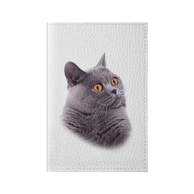 Обложка для паспорта матовая кожа с принтом Британец 5 в Екатеринбурге, натуральная матовая кожа | размер 19,3 х 13,7 см; прозрачные пластиковые крепления | Тематика изображения на принте: британец | британская | британцы | кот | котенок | котик | котэ | кошка