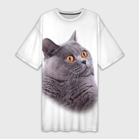 Платье-футболка 3D с принтом Британец кот удивленно смотрит в Екатеринбурге,  |  | британец | британская | британцы | кот | котенок | котик | котэ | кошка