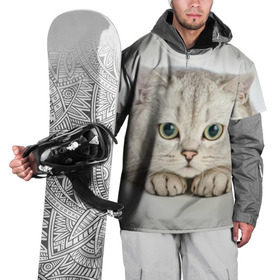 Накидка на куртку 3D с принтом Британец 6 в Екатеринбурге, 100% полиэстер |  | Тематика изображения на принте: британец | британская | британцы | кот | котенок | котик | котэ | кошка