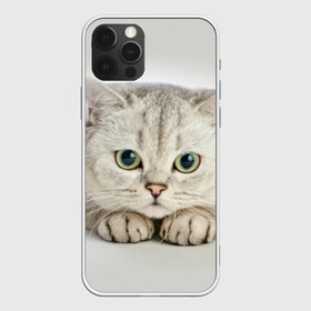 Чехол для iPhone 12 Pro Max с принтом Британец 6 в Екатеринбурге, Силикон |  | британец | британская | британцы | кот | котенок | котик | котэ | кошка