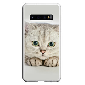 Чехол для Samsung Galaxy S10 с принтом Британец 6 в Екатеринбурге, Силикон | Область печати: задняя сторона чехла, без боковых панелей | Тематика изображения на принте: британец | британская | британцы | кот | котенок | котик | котэ | кошка