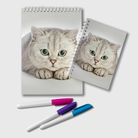 Блокнот с принтом Британец 6 в Екатеринбурге, 100% бумага | 48 листов, плотность листов — 60 г/м2, плотность картонной обложки — 250 г/м2. Листы скреплены удобной пружинной спиралью. Цвет линий — светло-серый
 | Тематика изображения на принте: британец | британская | британцы | кот | котенок | котик | котэ | кошка